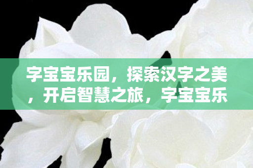 探索汉字之美图片