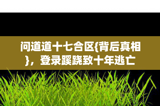 登录蹊跷致十年逃亡图片