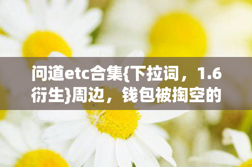 钱包被掏空的惊喜图片