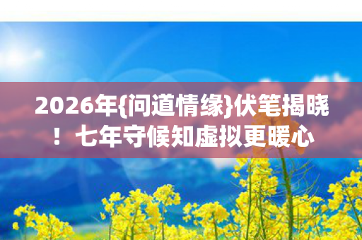七年守候知虚拟更暖心图片