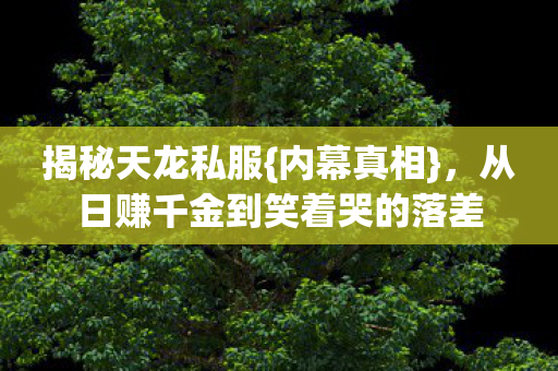 从日赚千金到笑着哭的落差图片