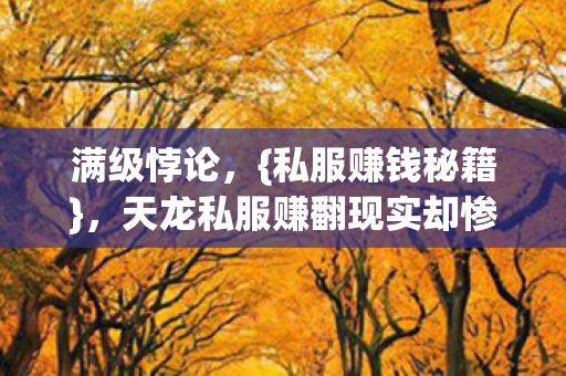天龙私服赚翻现实却惨淡图片
