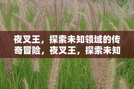 探索未知领域的传奇冒险图片