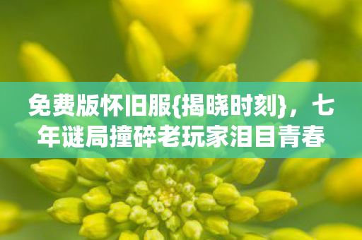 七年谜局撞碎老玩家泪目青春图片