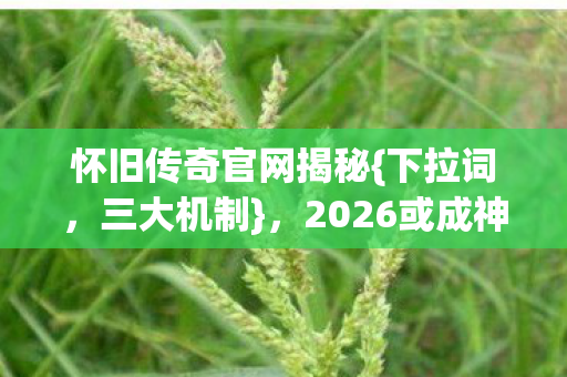 怀旧传奇官网揭秘图片