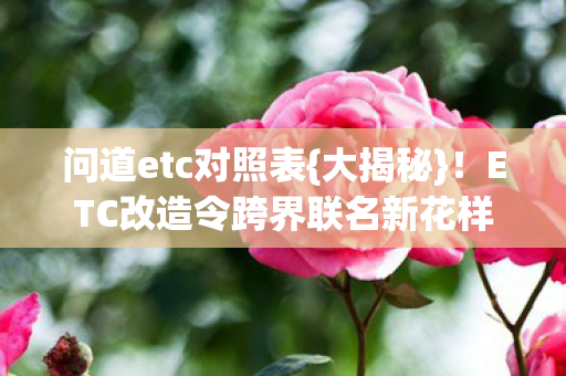 ETC改造令跨界联名新花样图片