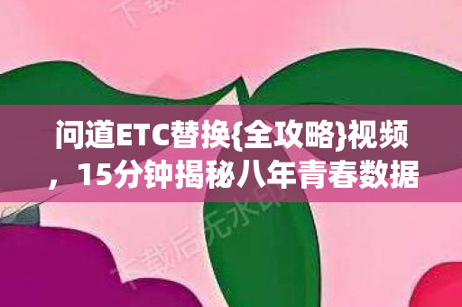 15分钟揭秘八年青春数据谜局图片