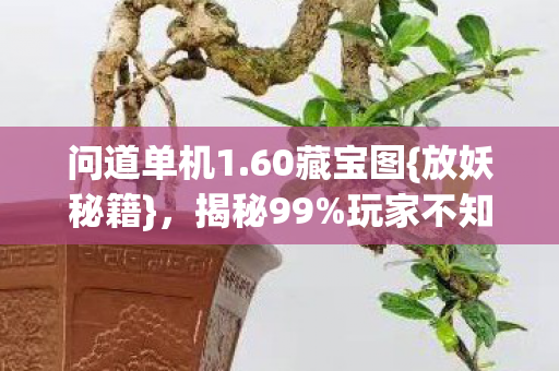 玩家不知的猫腻图片