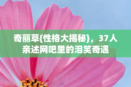 37人亲述网吧里的泪笑奇遇图片