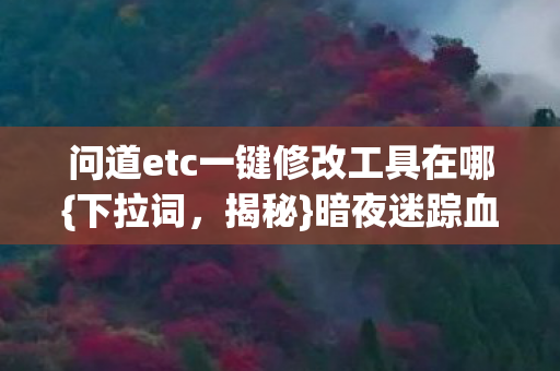 问道etc一键修改工具在哪图片