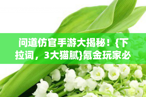 问道仿官手游大揭秘图片