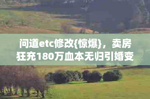卖房狂充180万血本无归引婚变图片