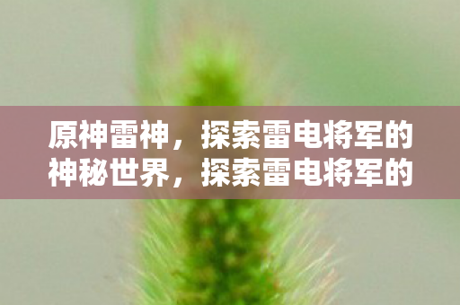 探索雷电将军的神秘世界图片
