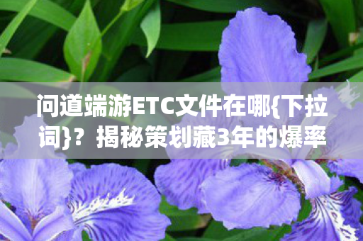 揭秘策划藏3年的爆率暗改图片