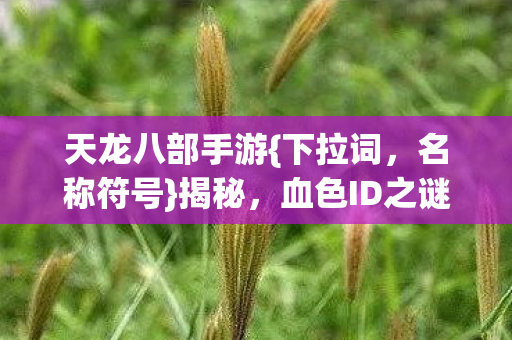 血色ID之谜解析图片