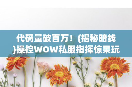 操控WOW私服指挥惊呆玩家图片