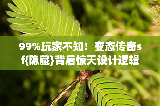 背后惊天设计逻辑图片