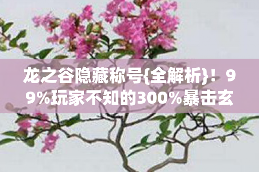 玩家不知的300图片