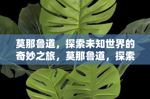 探索未知世界的奇妙之旅图片