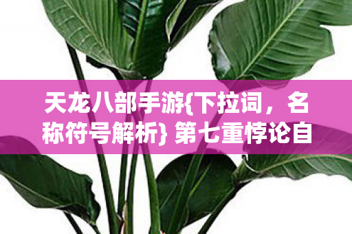 第七重悖论自由意志图片