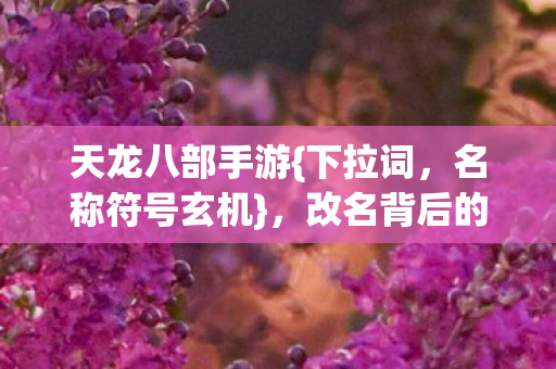 改名背后的真相揭秘图片