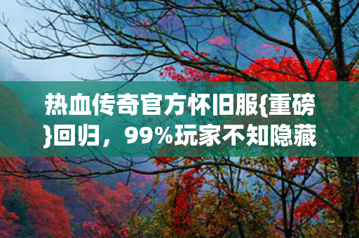 热血传奇官方怀旧服图片