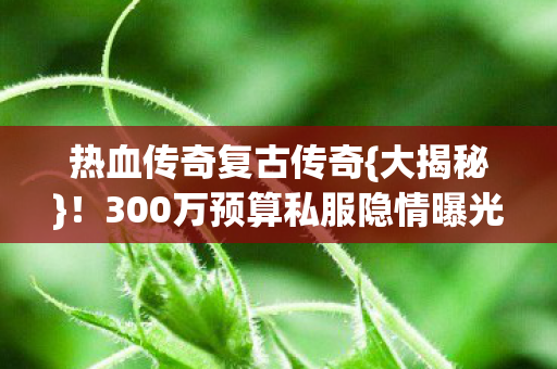 300万预算私服隐情曝光图片