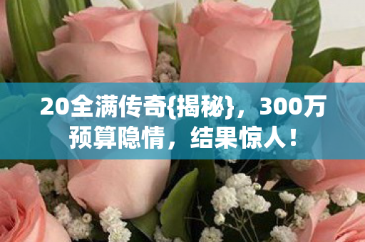 300万预算隐情图片