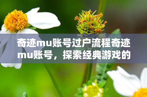 奇迹mu账号过户流程奇迹mu账号图片