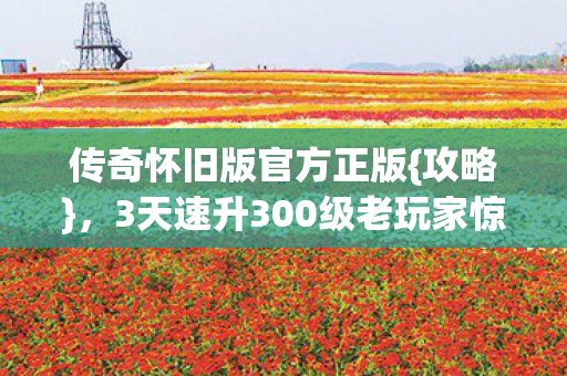 3天速升300级老玩家惊呆图片