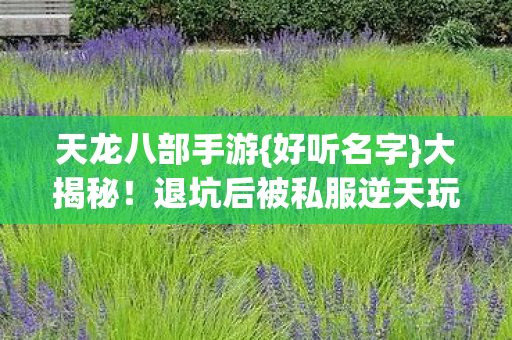 退坑后被私服逆天玩法吸引图片