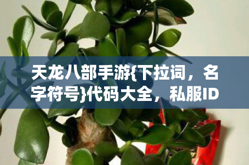 私服ID藏彩蛋图片