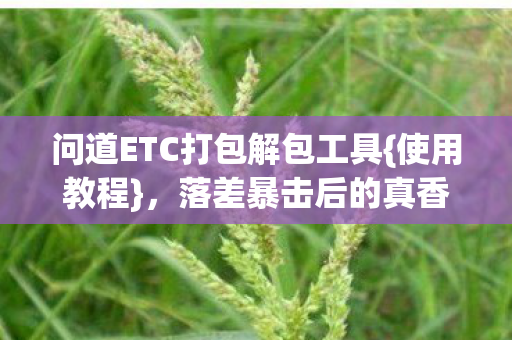 问道ETC打包解包工具图片
