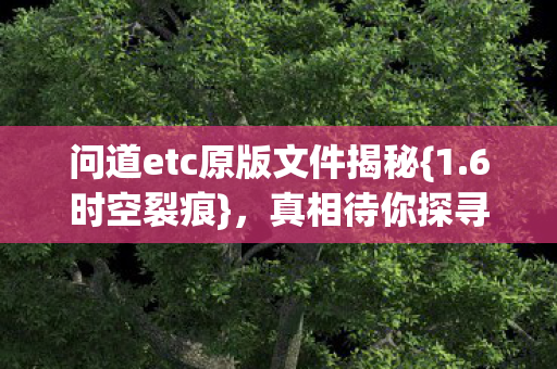 问道etc原版文件揭秘图片