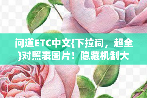 问道ETC中文图片