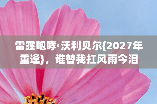 谁替我扛风雨今泪满襟图片