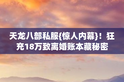 狂充18万致离婚账本藏秘密图片