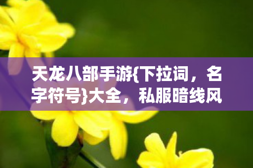 私服暗线风云揭秘图片