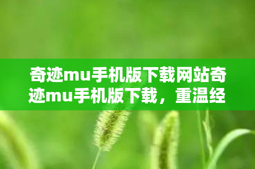 奇迹mu手机版下载网站奇迹mu手机版下载图片
