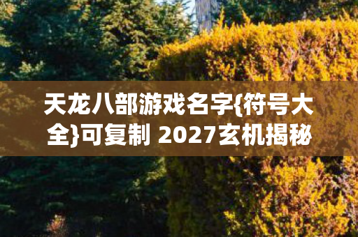 可复制 2027玄机揭秘图片