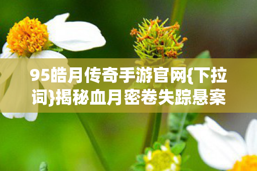 95皓月传奇手游官网图片