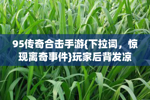 95传奇合击手游图片