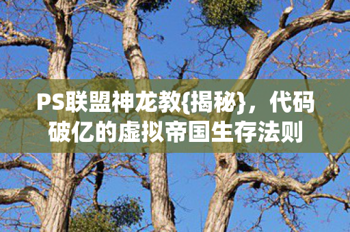 PS联盟神龙教{揭秘}，代码破亿的虚拟帝国生存法则
