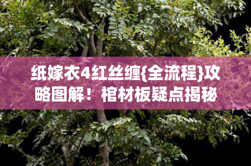 纸嫁衣4红丝缠{全流程}攻略图解!棺材板疑点揭秘 纸嫁衣4红丝缠{全流程}攻略图解!棺材板疑点揭秘
