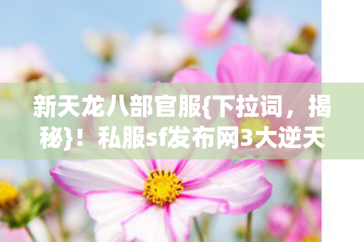 私服sf发布网3大逆天福利曝光图片