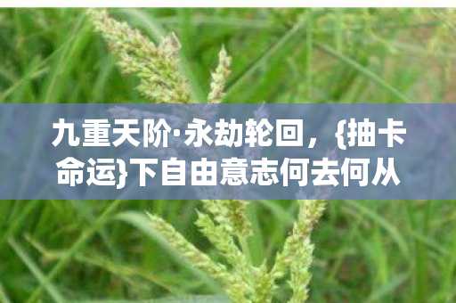 下自由意志何去何从图片