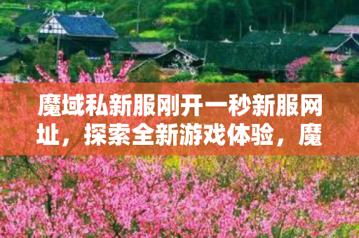 魔域私新服刚开一秒新服网址图片