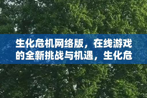 在线游戏的全新挑战与机遇图片