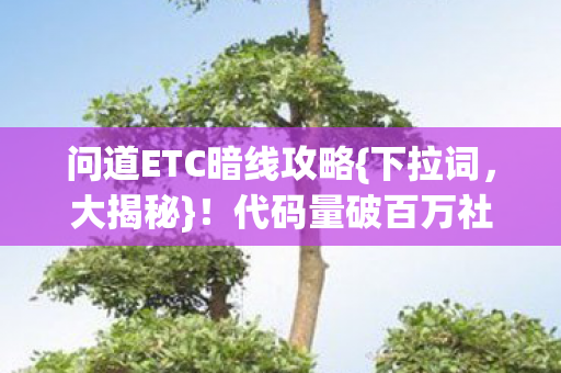 代码量破百万社恐咋应对图片