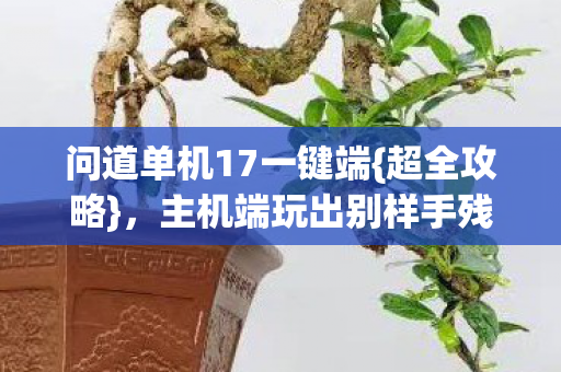 主机端玩出别样手残模式图片